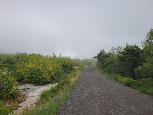 Tourist Attraction «Ice Caves», reviews and photos, Sams Point Rd, Pine Bush, NY 12566, USA