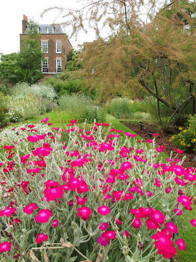 Chelsea Physic Garden