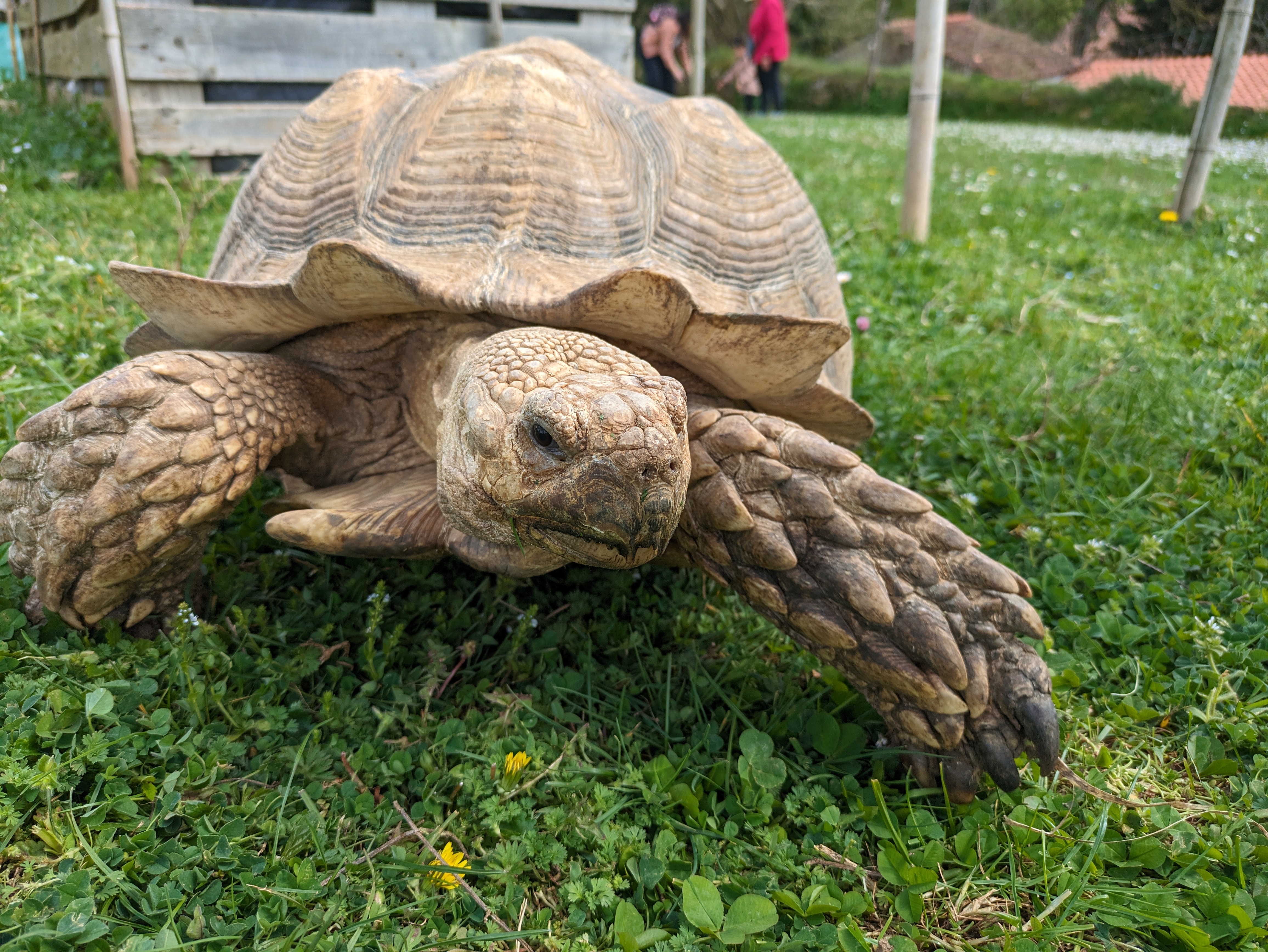 Photo n° 6 de l'avis de Clement.e fait le 02/04/2024 à 05:10