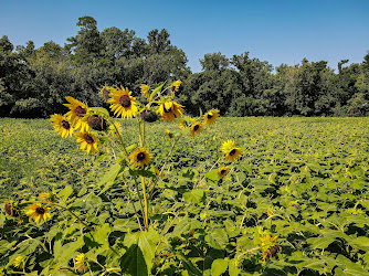 McKee Beshers Wildlife Management Area