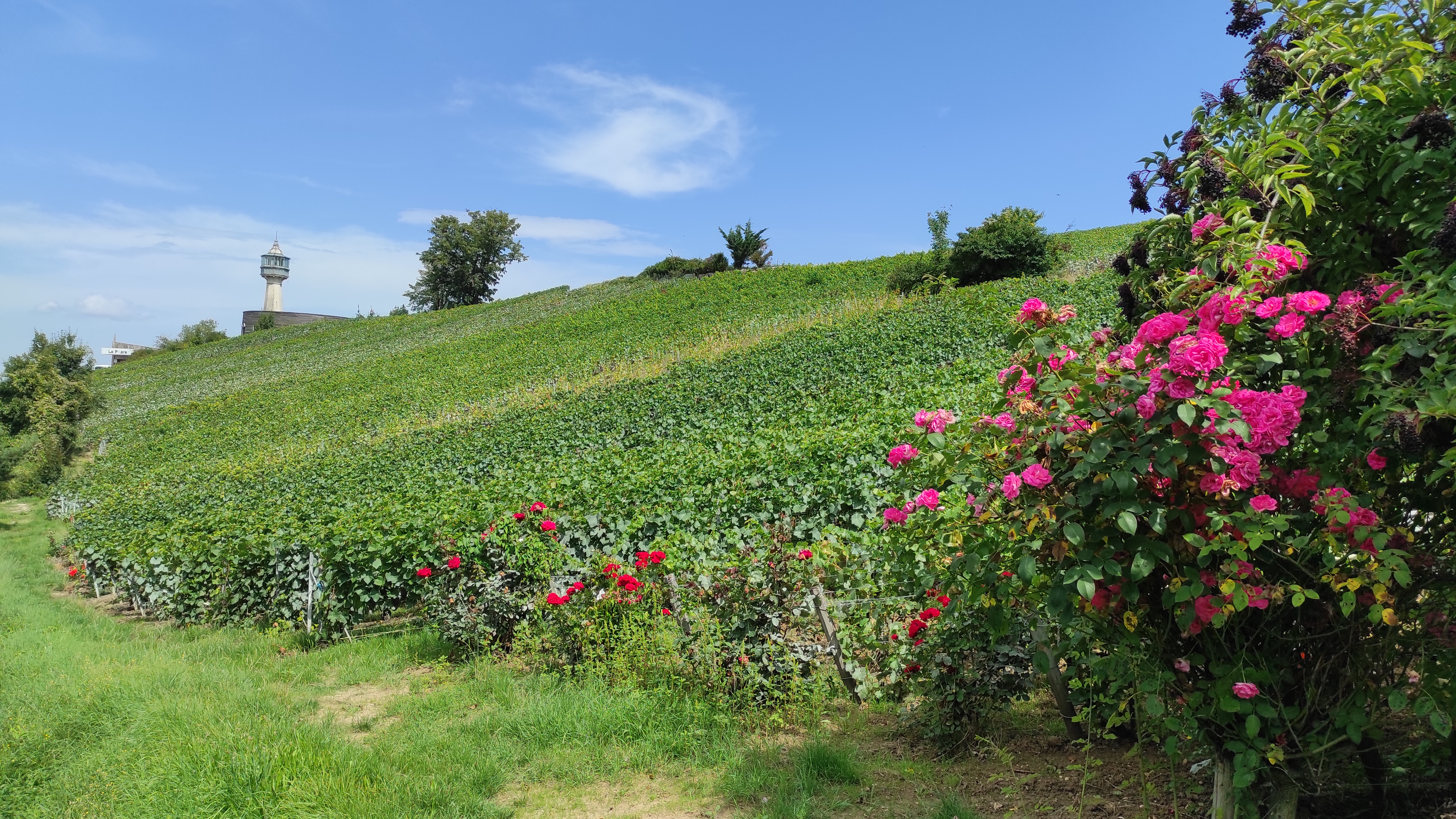 Photo n° 1 de l'avis de Didier.e fait le 20/08/2023 à 09:50