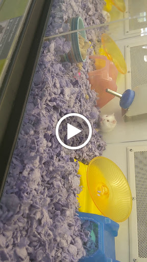 Pet Supply Store «Petco Animal Supplies», reviews and photos, 852 N Western Ave, San Pedro, CA 90732, USA