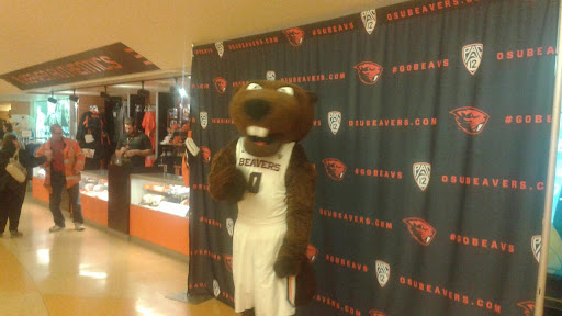 Stadium «Gill Coliseum», reviews and photos, 660 SW 26th St, Corvallis, OR 97331, USA