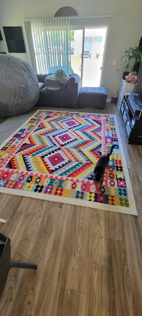 Oxi Fresh Carpet Cleaning - Photo 8 - Car repair in , Columbus