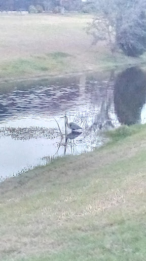 Recreation Center «Apollo Beach Recreation Center», reviews and photos, 664 Golf and Sea Blvd, Apollo Beach, FL 33572, USA