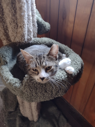 Pet Supply Store «Pet Supplies Plus», reviews and photos, 7570 Pearl Rd, Middleburg Heights, OH 44130, USA