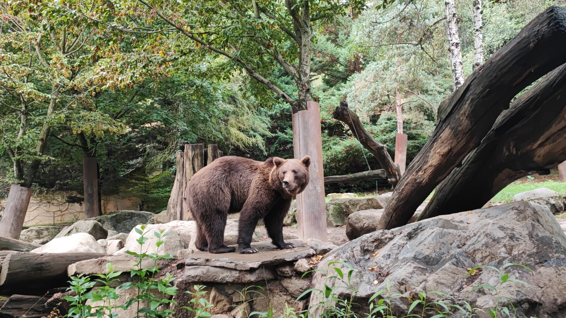 Photo n° 3 de l'avis de emilie.a fait le 29/08/2023 à 20:24
