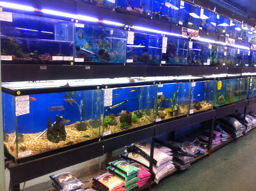 Pet Store «Petland Discounts - 125th Street», reviews and photos, 167 E 125th St, New York, NY 10035, USA