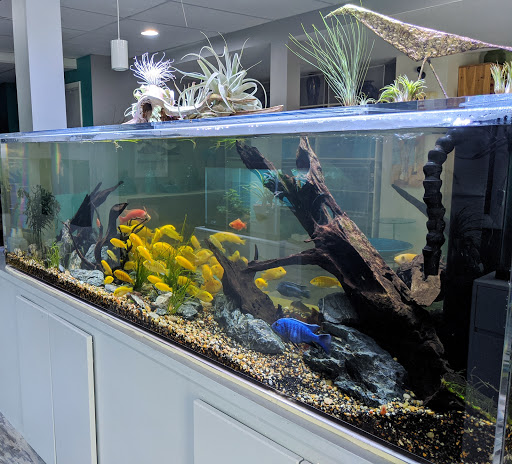 Tropical Fish Store «ABC Aquarium», reviews and photos, 2555 Baird Rd, Penfield, NY 14526, USA