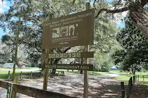 Green Swamp Wilderness Preserve - West Tract image