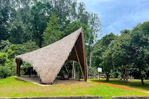 Pha Kluai Mai Camping Ground image