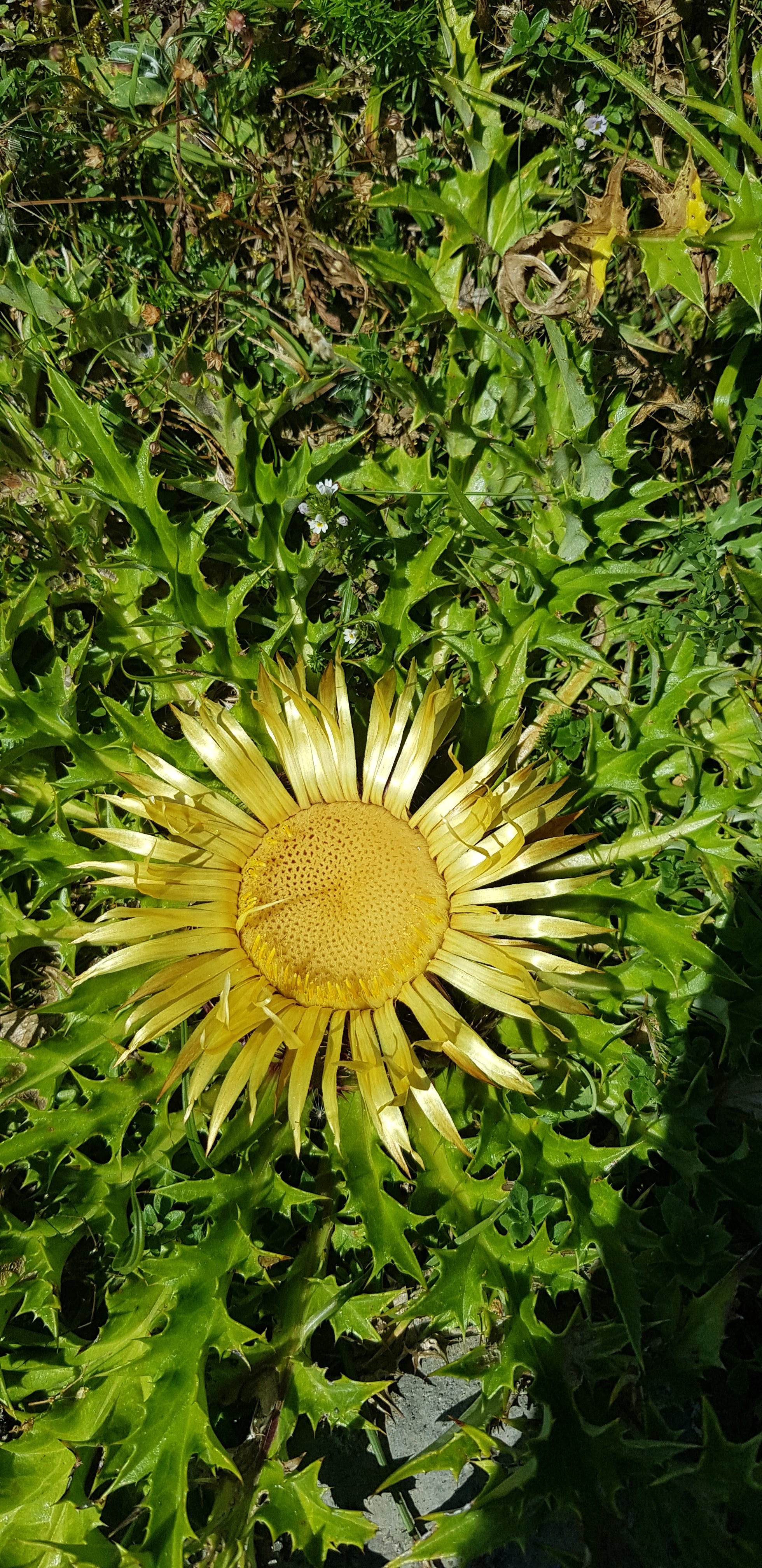 Photo n° 2 de l'avis de Arlette.e fait le 01/08/2020 à 18:57