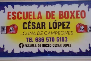 Escuela de boxeo César López image