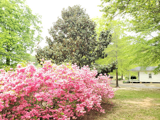 Attraction «Elvis Presley Birthplace», reviews and photos, 306 Elvis Presley Dr, Tupelo, MS 38801, USA