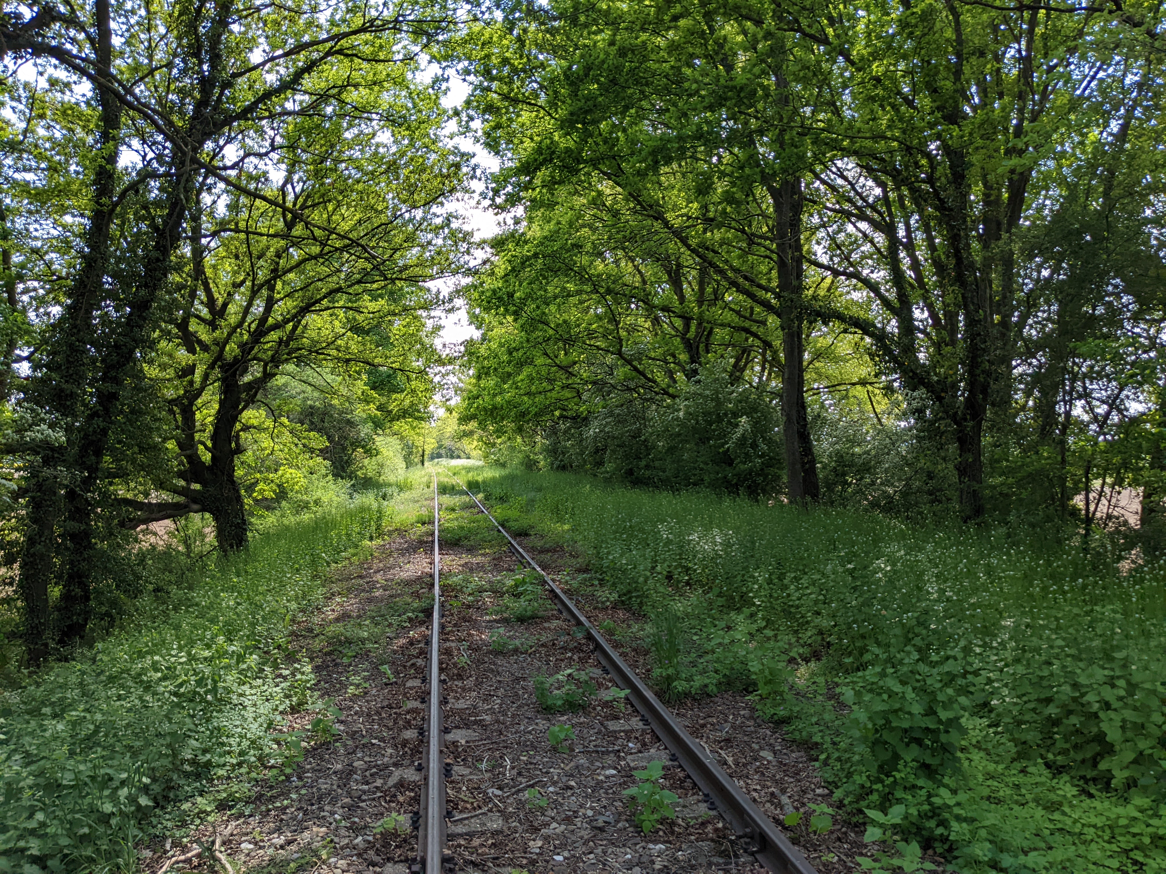 Photo n° 2 de l'avis de Alexandra.a fait le 30/04/2022 à 18:35