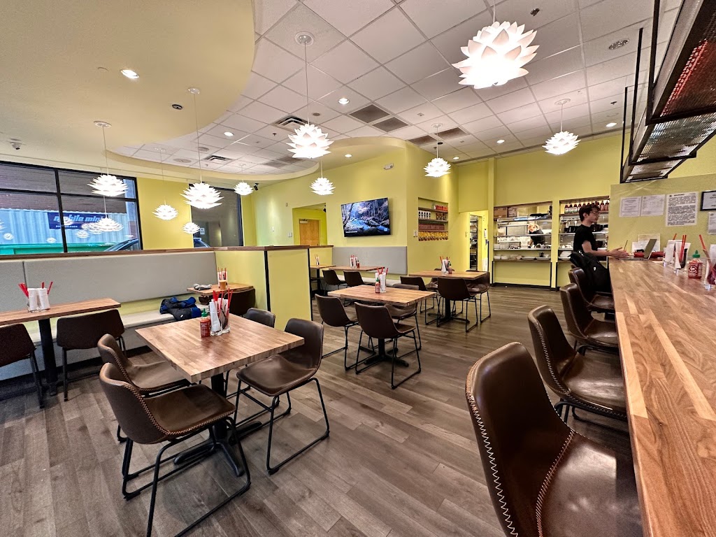 Dragonfly Noodle 80202