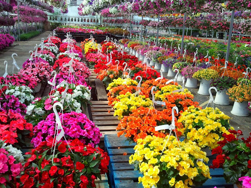 Florist «Westland Florist & Greenhouse», reviews and photos, 34235 Ford Rd, Westland, MI 48185, USA