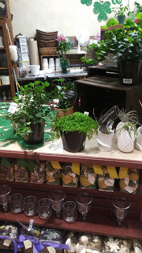 Grocery Store «The Fresh Market», reviews and photos, 12131 Jefferson Ave, Newport News, VA 23602, USA