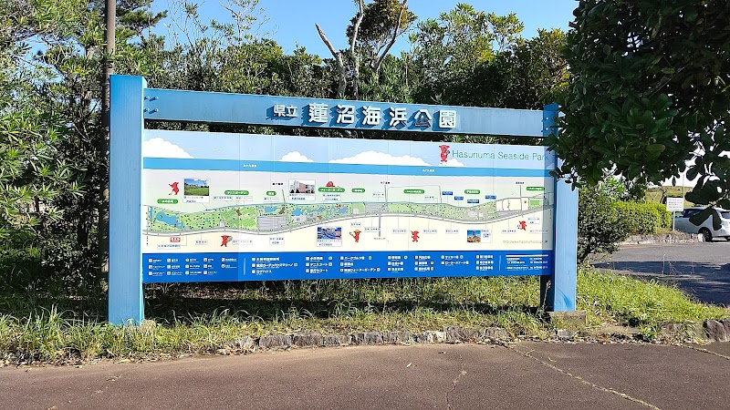 千葉県立蓮沼海浜公園