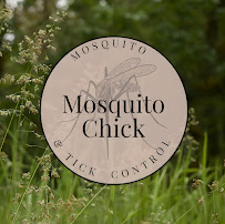 Mosquito Chick - Photo 3 - Car repair in , Minneapolis