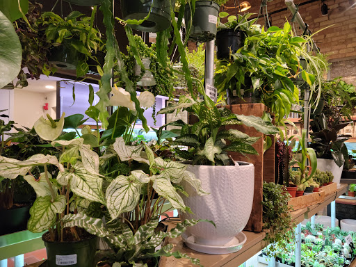 General Store «MOD GEN - A Modern General Store», reviews and photos, 211 N Broadway, Milwaukee, WI 53202, USA