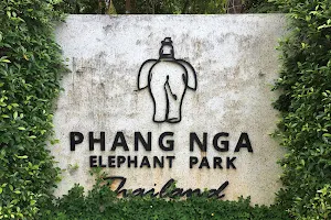 Phang Nga Elephant Park image