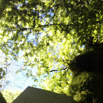 Photo n° 3 de l'avis de Laetitia.l fait le 29/05/2019 à 07:17 pour Sentier Karstique Besain à Molain