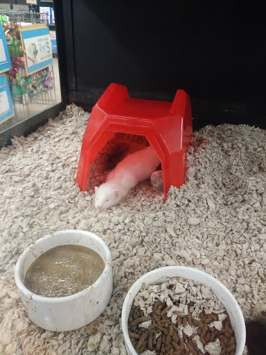 Pet Supply Store «Petco Animal Supplies», reviews and photos, 80 Plaza Dr, Bloomsburg, PA 17815, USA