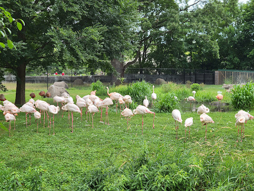 Zoo «Detroit Zoo», reviews and photos, 8450 W 10 Mile Rd, Royal Oak, MI 48067, USA