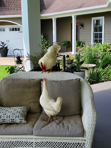 Lodge «The Farmhouse Inn», reviews and photos, 108 W Swan St, Centerville, TN 37033, USA