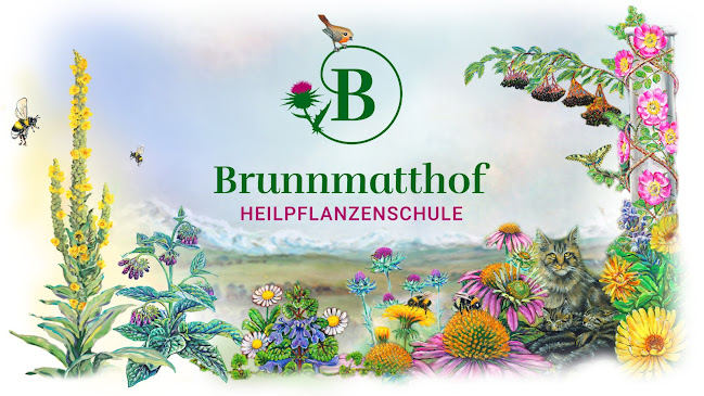 Rezensionen über Heilpflanzenschule Brunnmatthof in Langenthal - Bioladen