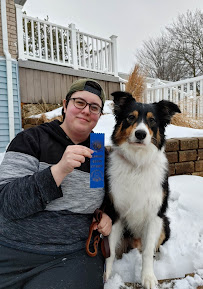 Red Lantern Dog Training, LLC - Photo 4 - Car repair in Orion Twp, MI, Sterling Heights