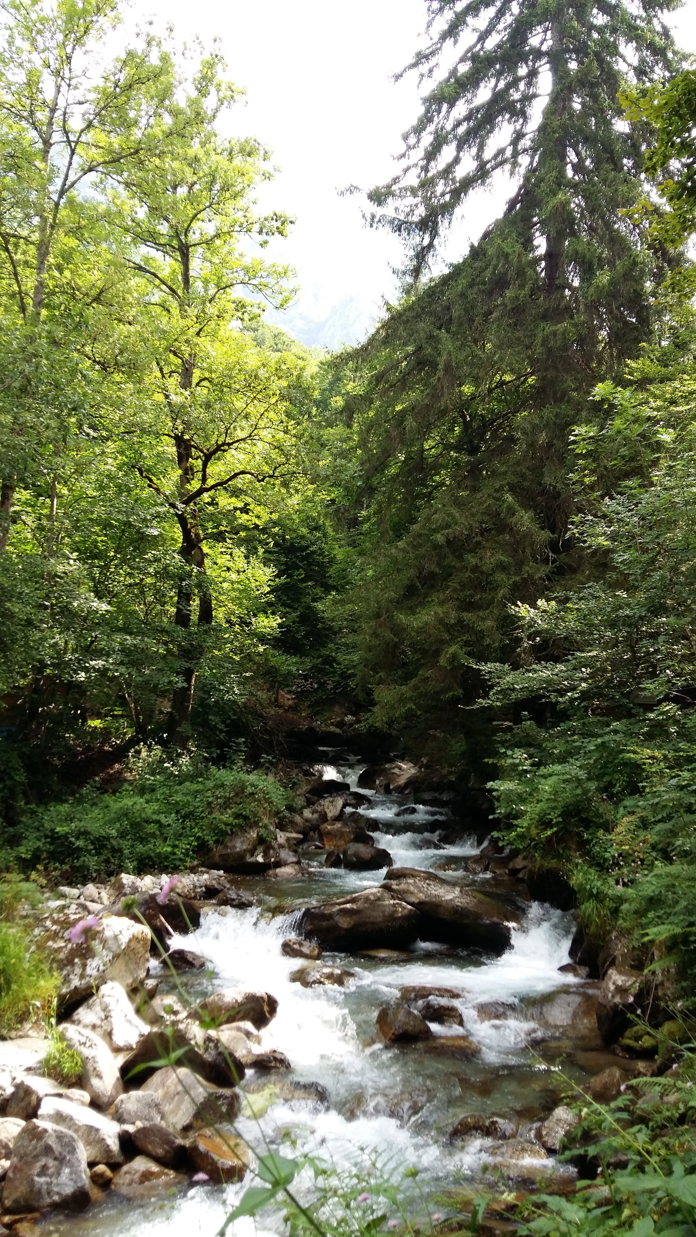 Photo n° 1 de l'avis de aerobat.o fait le 17/08/2018 à 15:17