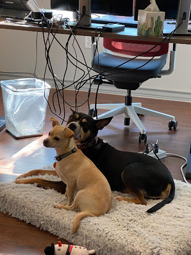 Insurance Agency «Beau Sharpe - State Farm Insurance Agent», reviews and photos