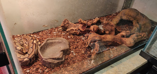 Tropical Fish Store «Fish Nook Pet Center», reviews and photos, 266 Great Rd, Acton, MA 01720, USA