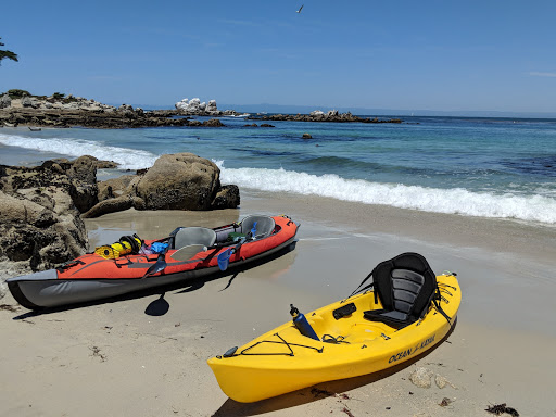 Aquarium «Monterey Bay Aquarium», reviews and photos, 886 Cannery Row, Monterey, CA 93940, USA