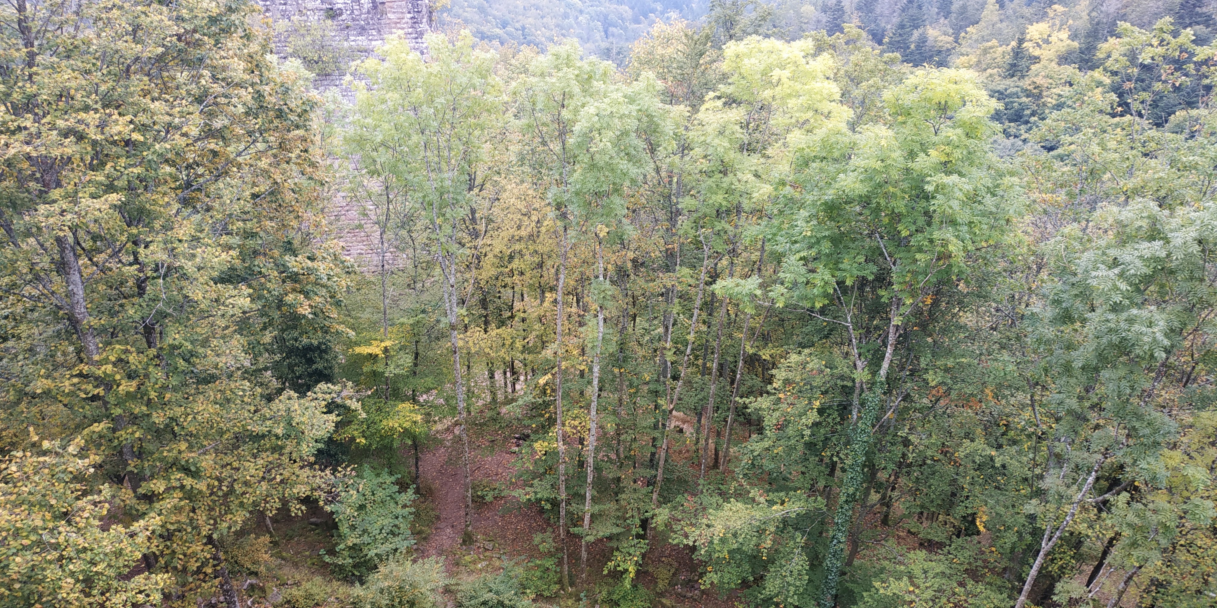 Photo n° 8 de l'avis de Sorti.u fait le 18/10/2021 à 08:32