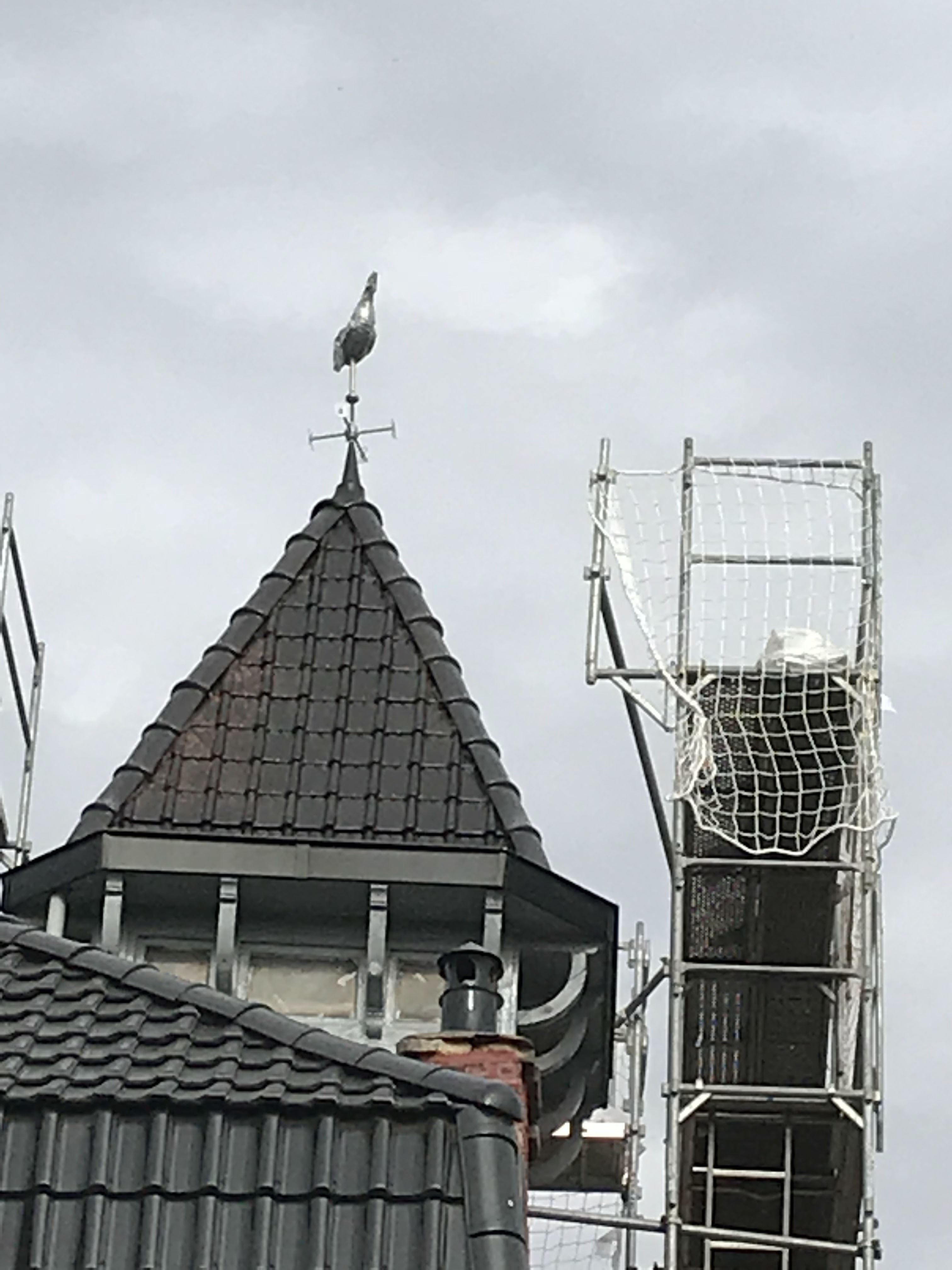 Photo n° 3 de l'avis de jeremy.h fait le 19/07/2018 à 04:55