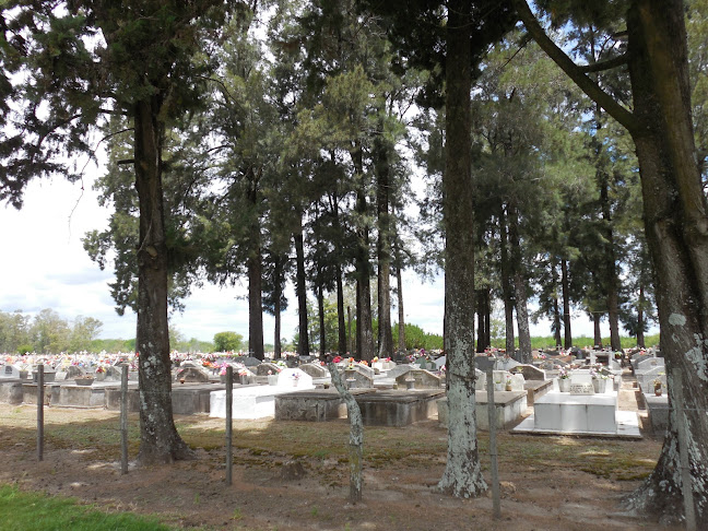 Opiniones de Cementerio de San javier en Río Negro - Arquitecto