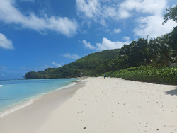 Anse Mare Jupe Beach'in fotoğrafı düz ve uzun ile birlikte