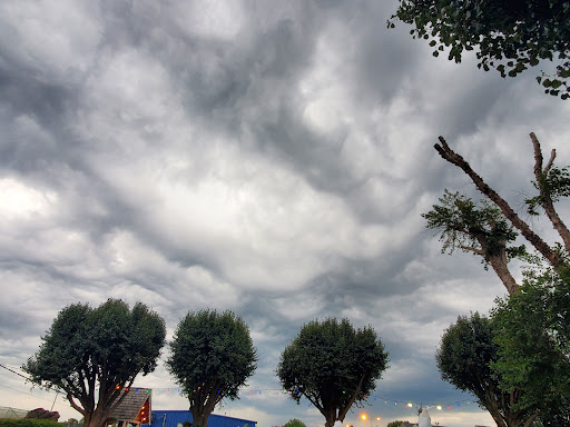 Tourist Attraction «GO USA Fun Park», reviews and photos, 2270 Armory Dr, Murfreesboro, TN 37129, USA