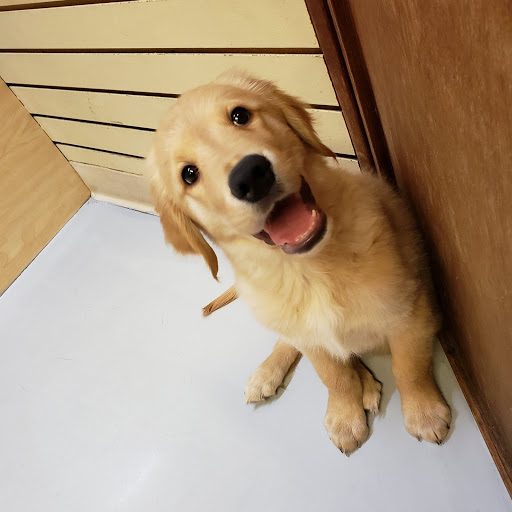 Pet Store «Pet Express», reviews and photos, 100 Independence Way, Danvers, MA 01923, USA