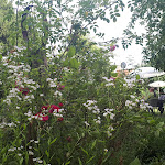 Photo n°7 de l'avis de Nicole.u fait le 09/07/2022 à 19:55 sur le  Kroneck-Salis à Bad Iburg