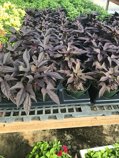 Garden Center «Lake Anna Nursery», reviews and photos, 71 Oak Grove Dr, Mineral, VA 23117, USA