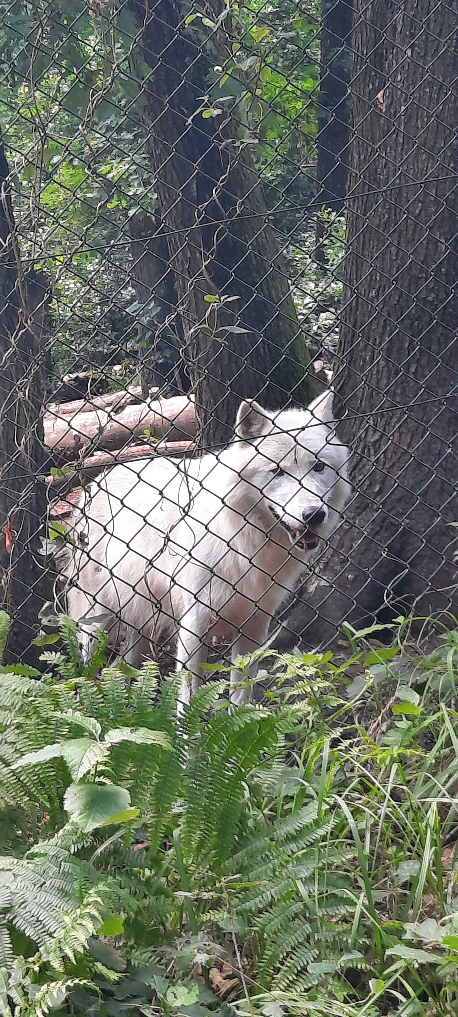 Photo n° 3 de l'avis de manon.a fait le 24/06/2022 à 15:40