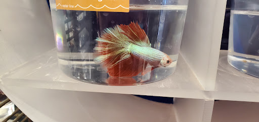 Pet Supply Store «Petco Animal Supplies», reviews and photos, 17132 W Colfax Ave, Golden, CO 80401, USA