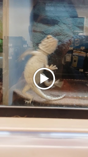 Pet Supply Store «Petco Animal Supplies», reviews and photos, 26209 104th Ave SE, Kent, WA 98030, USA