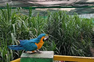 Bird Aviary, Indore Zoo image