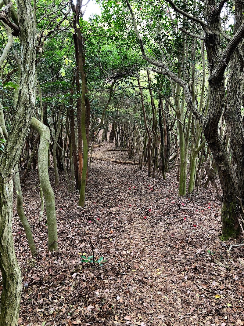 加東神山