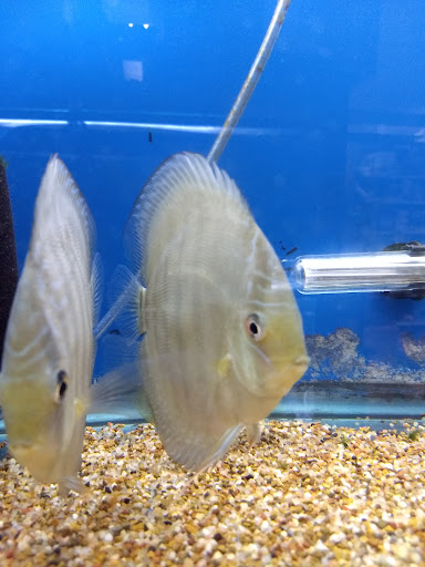 Shopping Mall «Chester Shopping Mall», reviews and photos, 23 W Main St, Chester, NJ 07930, USA